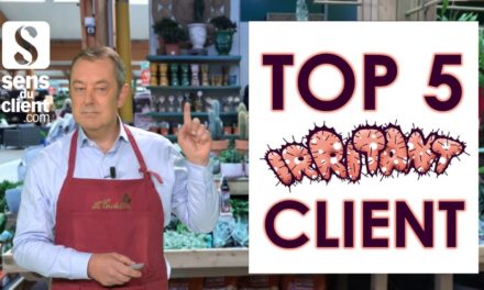 VIDEO : le top 5 des irritants du client