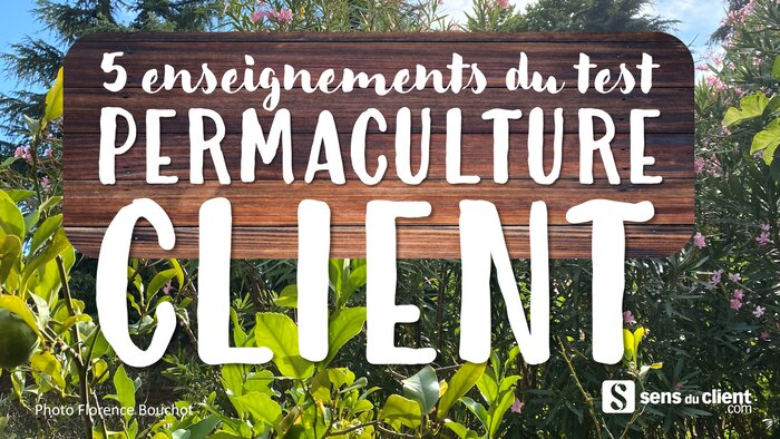 Permaculture Client : 5 enseignements du test