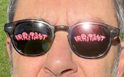 Mes irritants de l’été : coiffeur, supermarché, restaurant, atelier automobile, hôtel et cinéma au programme.