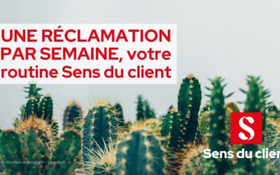 Faites une réclamation par semaine : mon meilleur conseil culture client