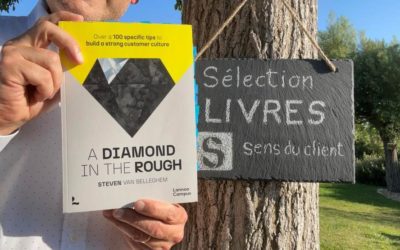 A diamond in the rough, un livre de ma sélection 2024