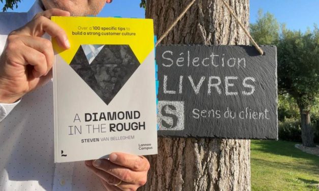 A diamond in the rough, un livre de ma sélection 2024