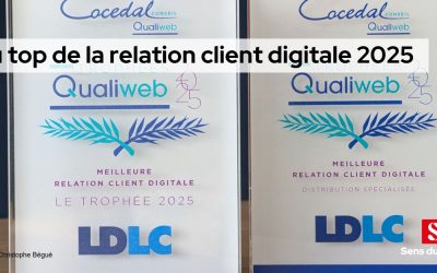 LDLC, Clarins et Happn au top de la relation client digitale en 2025