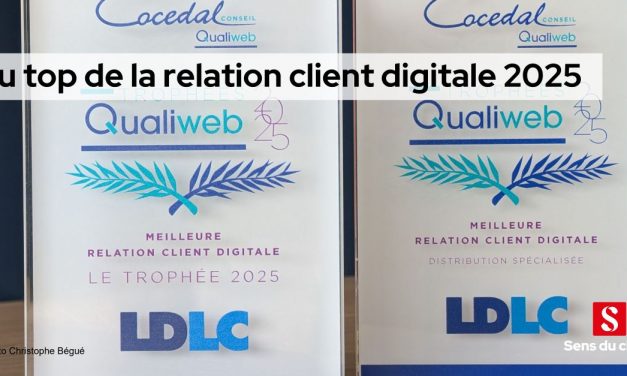 LDLC, Clarins et Happn au top de la relation client digitale en 2025