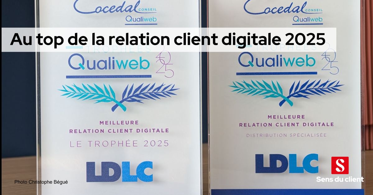 LDLC, Clarins et Happn au top de la relation client digitale en 2025