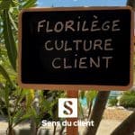 Florilège de la culture client. 7 brèves à croquer. Chapitre 2 spécial files d’attente.