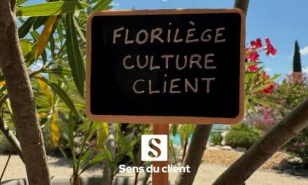 Florilège de la culture client. 7 brèves à croquer. Chapitre 2 spécial files d’attente.
